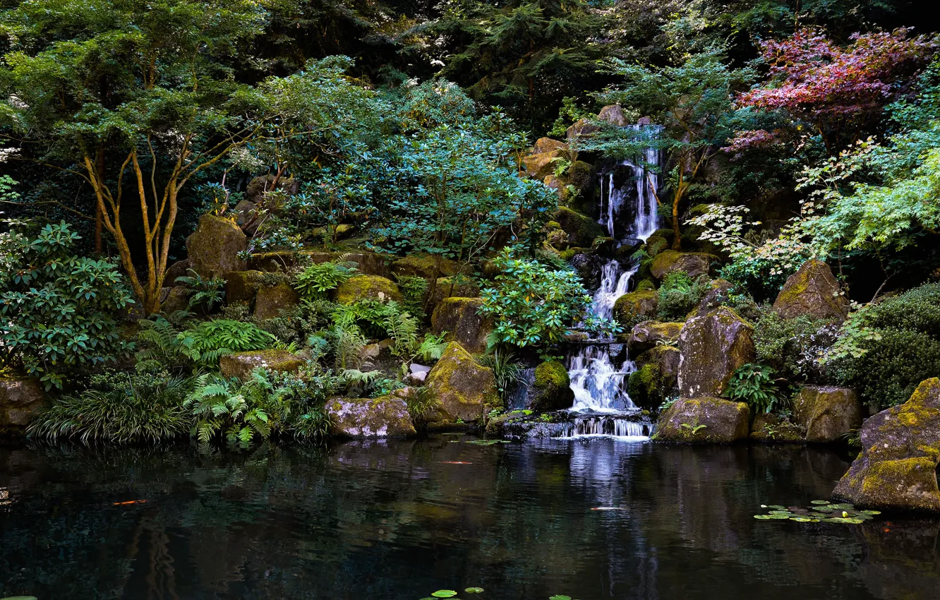 Photo wallpaper trees, pond, Park, stones, waterfall, Japanese garden, Japanese garden