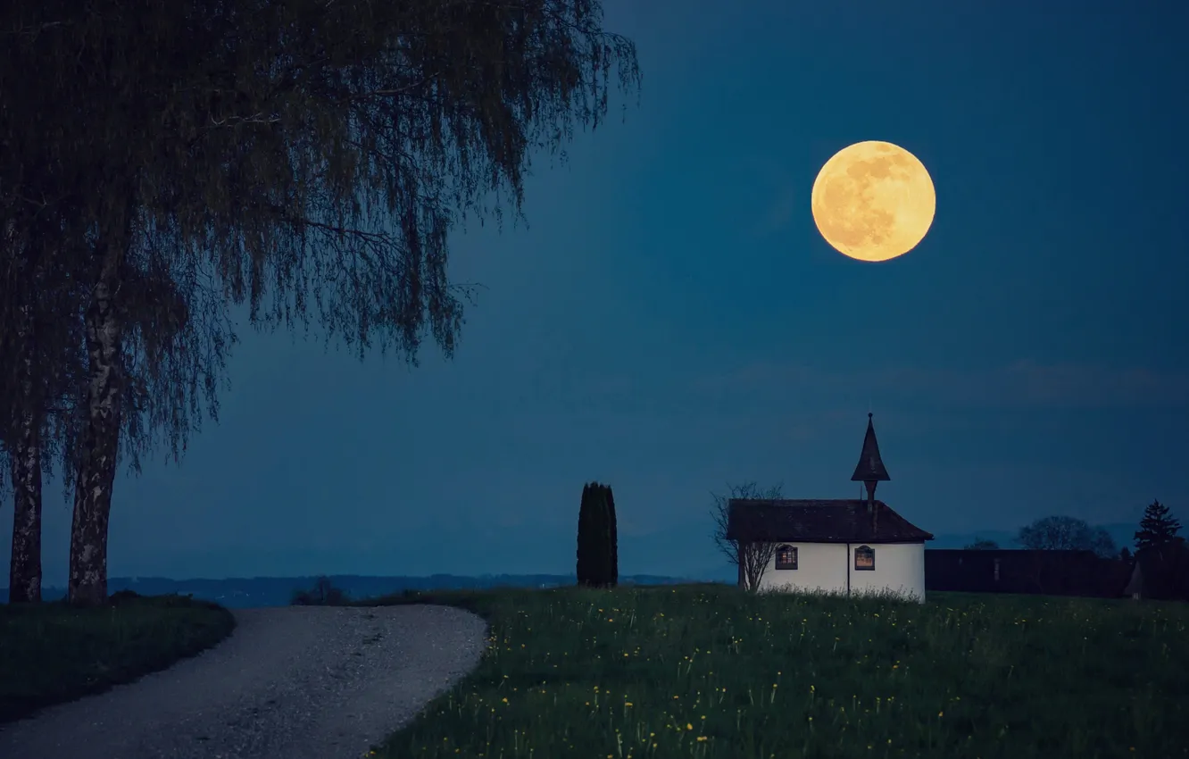 Photo wallpaper trees, birch, Church, road, chapel, blue, the moon, house