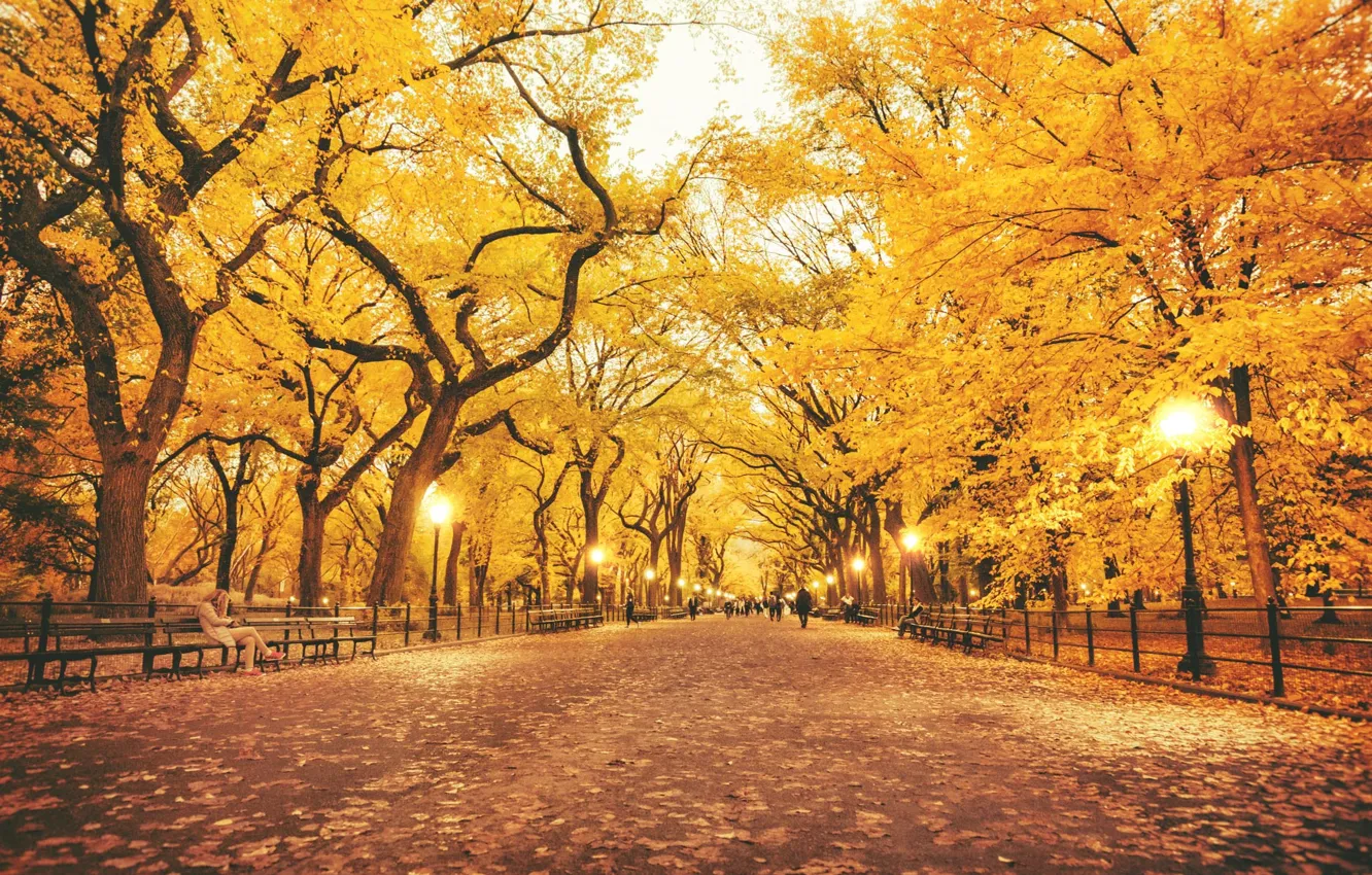 Photo wallpaper autumn, leaves, trees, Park, lights, lampposts, benches people