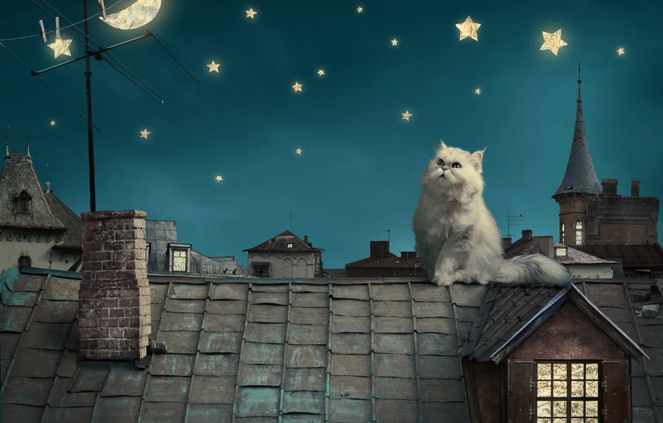 Photo wallpaper the sky, stars, night, kitty, the moon, home, tale, roof
