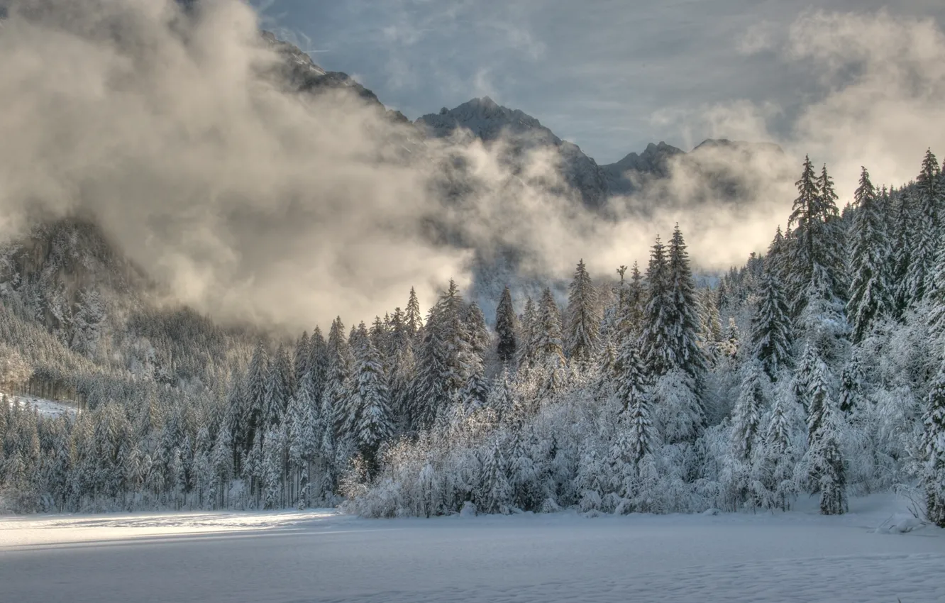 Photo wallpaper winter, forest, snow, trees, mountains, traces, fog, Nature