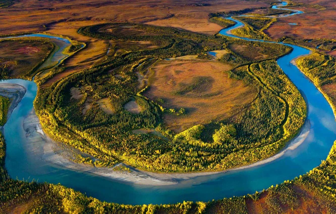 Photo wallpaper trees, landscape, river, Alaska, USA, reserve, Arctic National Park