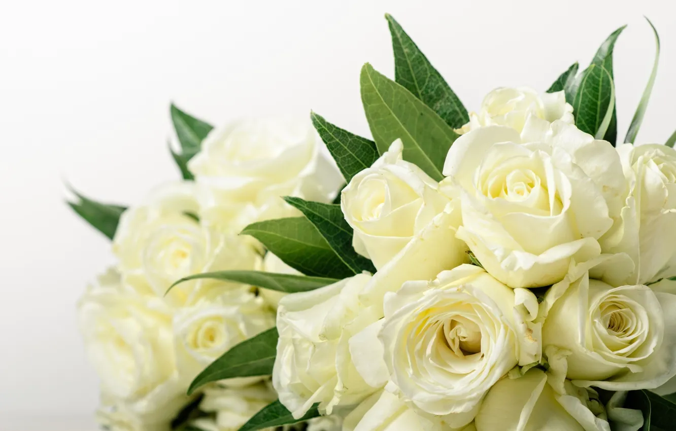 Photo wallpaper white, flowers, roses, bouquet