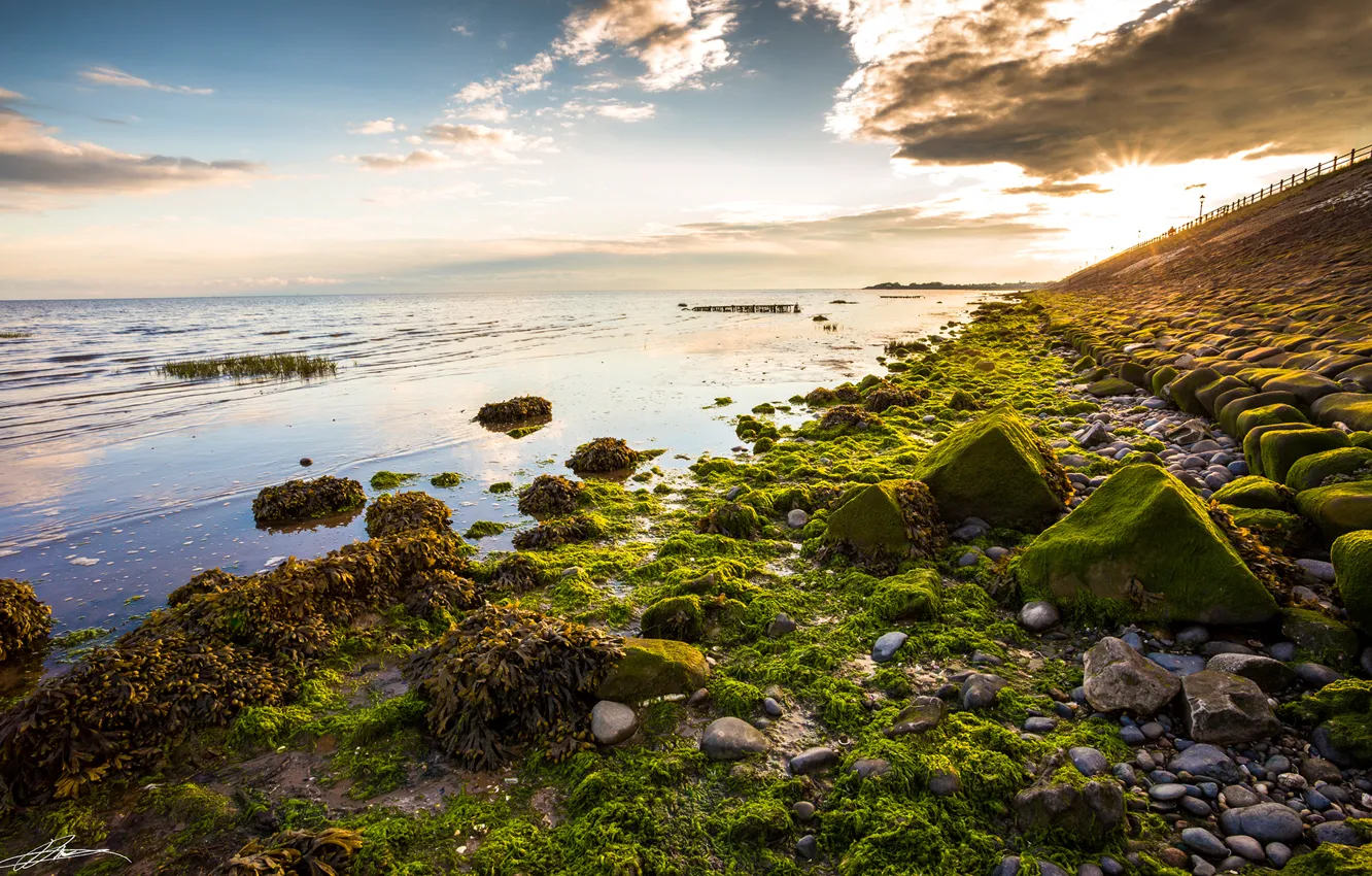 Photo wallpaper sea, the sky, clouds, sunset, stones, moss