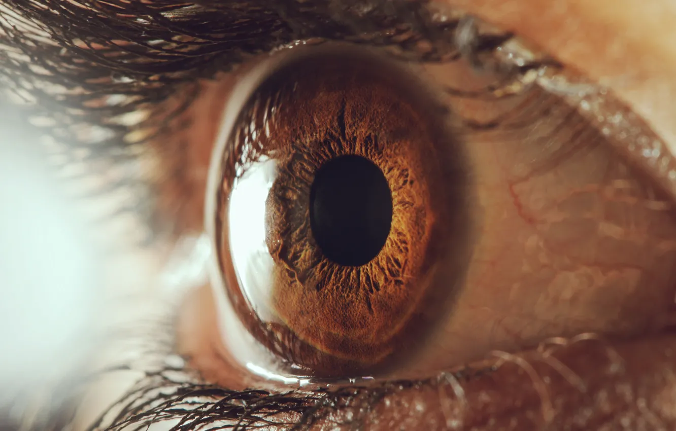 Photo wallpaper macro, eyelashes, the pupil, the human eye, touch on