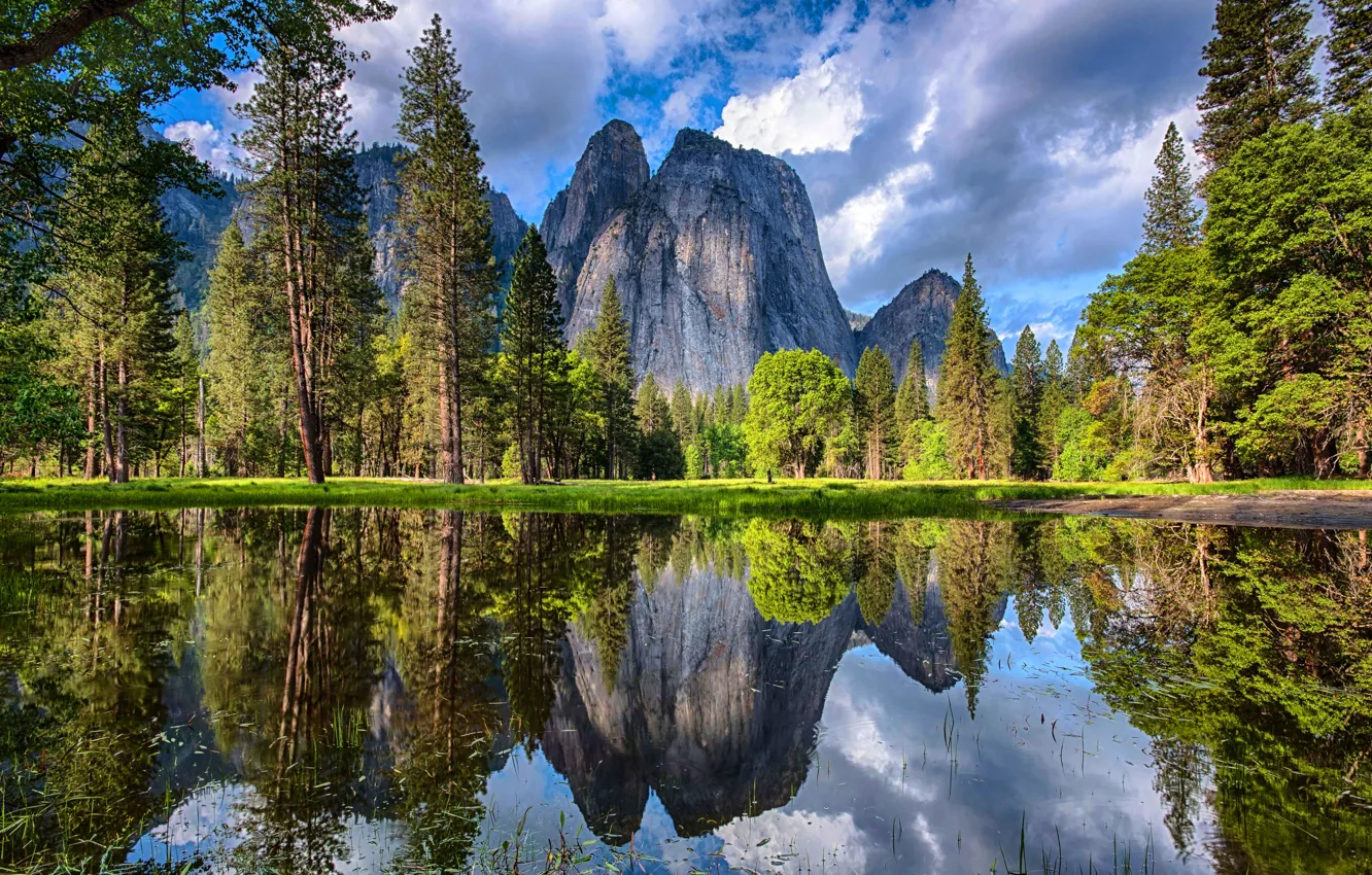 Photo wallpaper greens, forest, the sky, water, the sun, clouds, trees, mountains