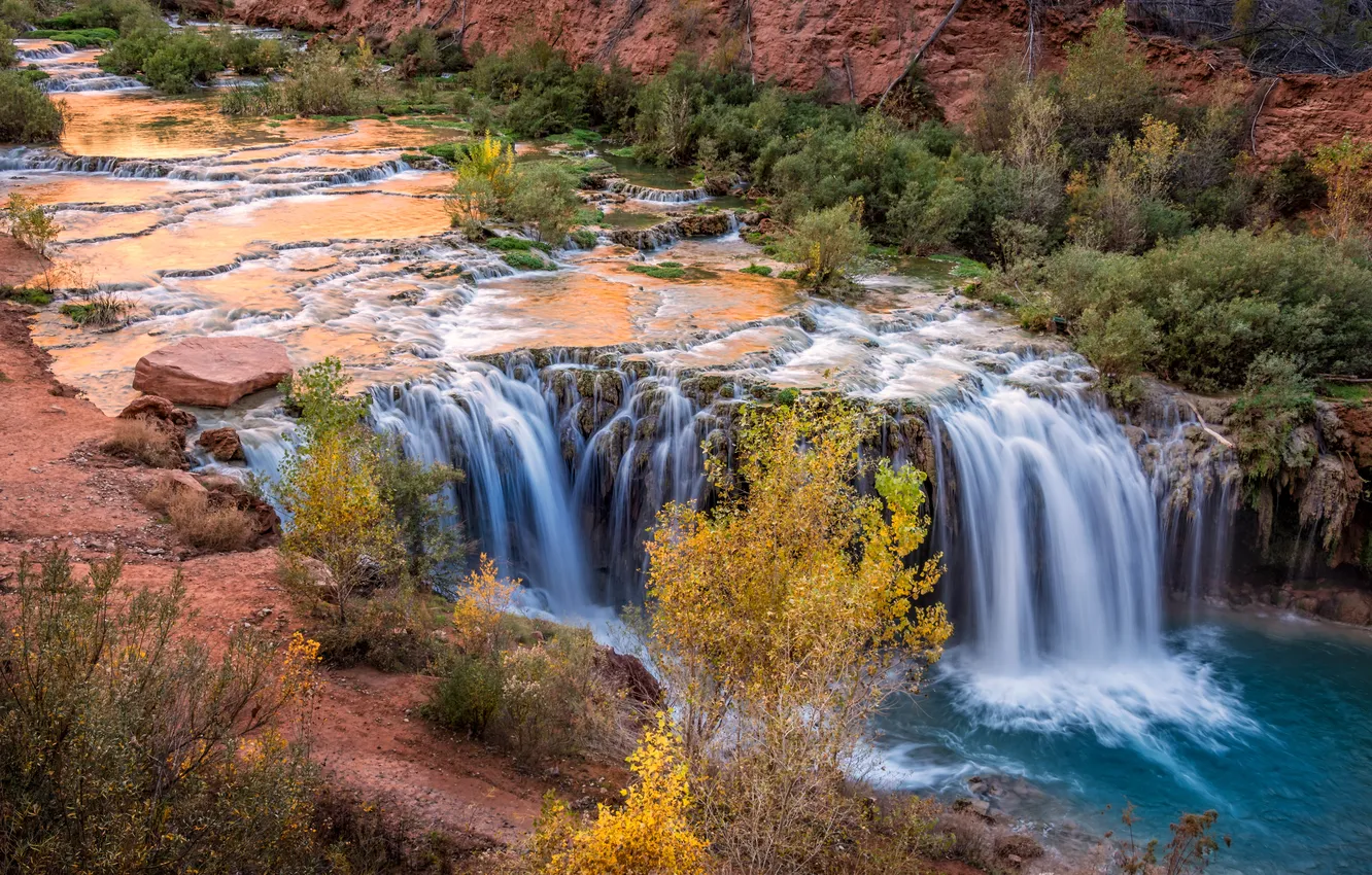 Photo wallpaper stream, stones, waterfall, USA, the bushes, Arizona, Grand Canyon, Havasupai