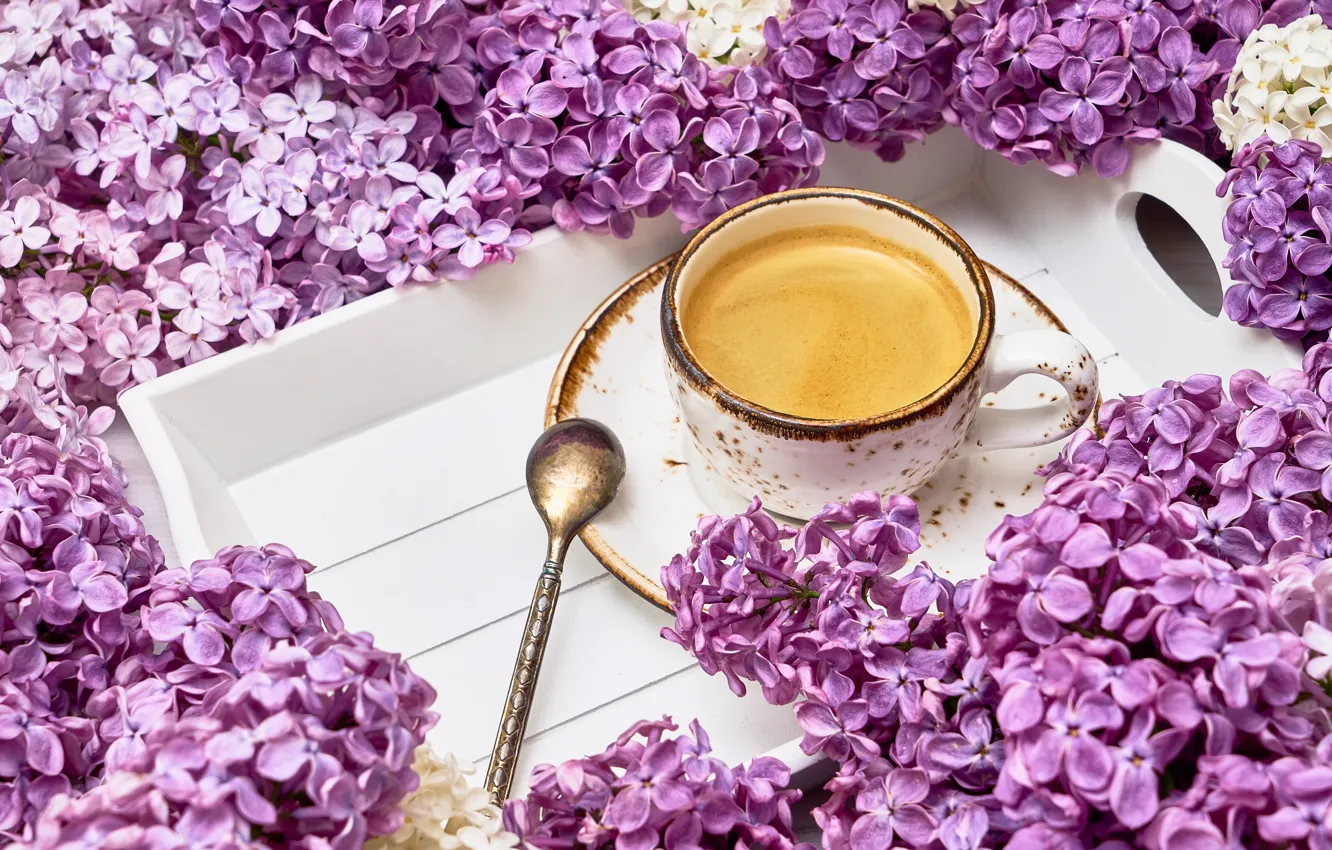 Photo wallpaper flowers, tea, drink, lilac