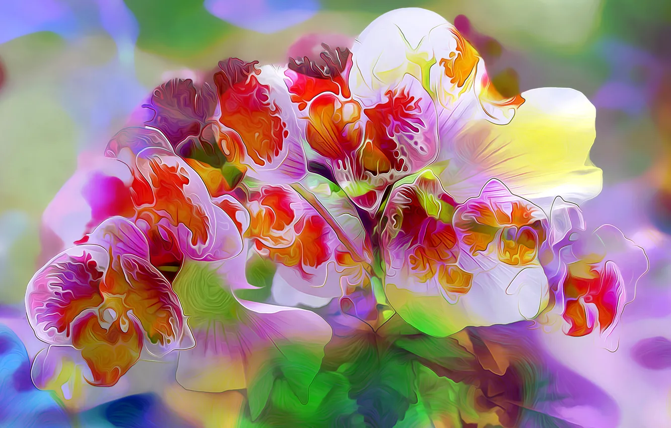 Photo wallpaper line, flowers, rendering, paint, petals