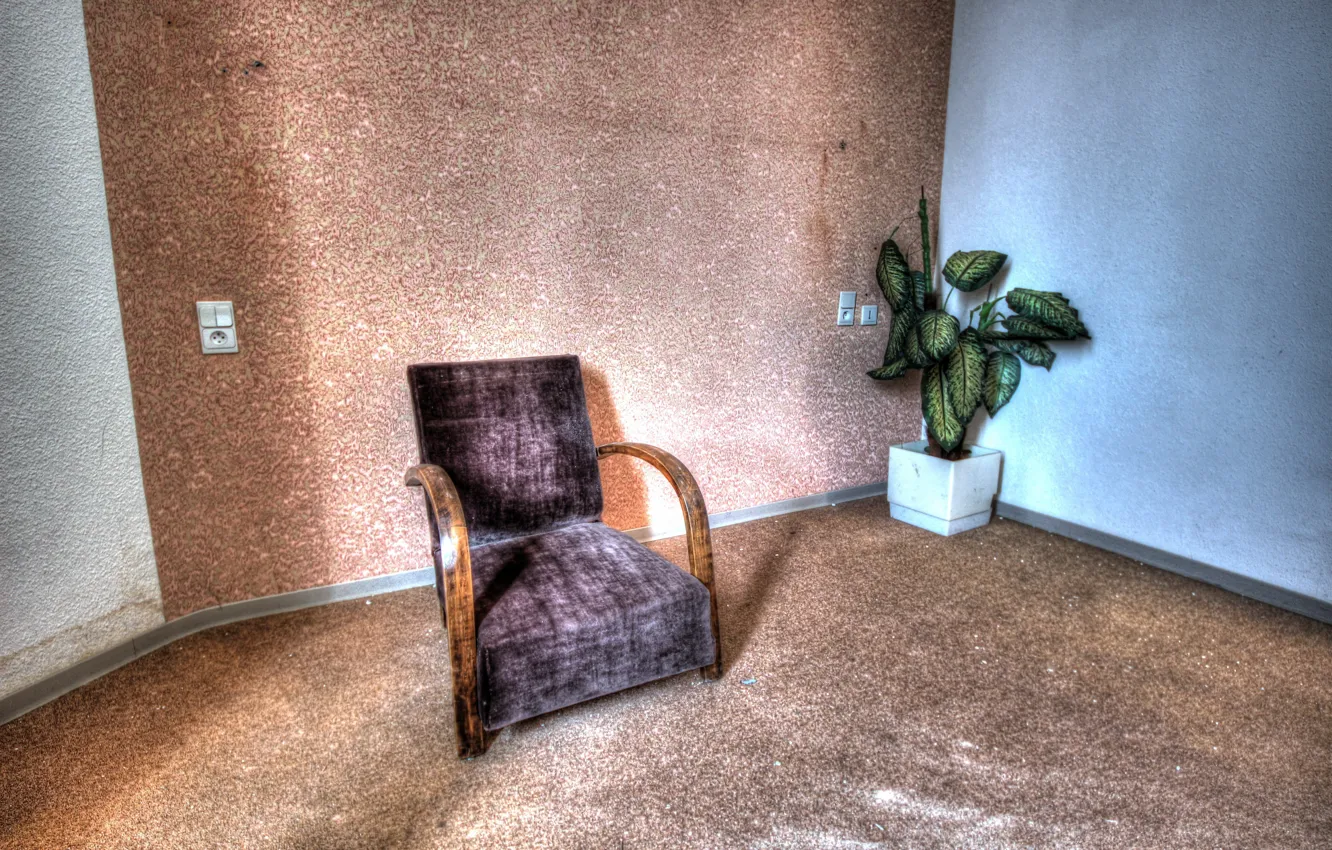 Photo wallpaper flowers, room, chair