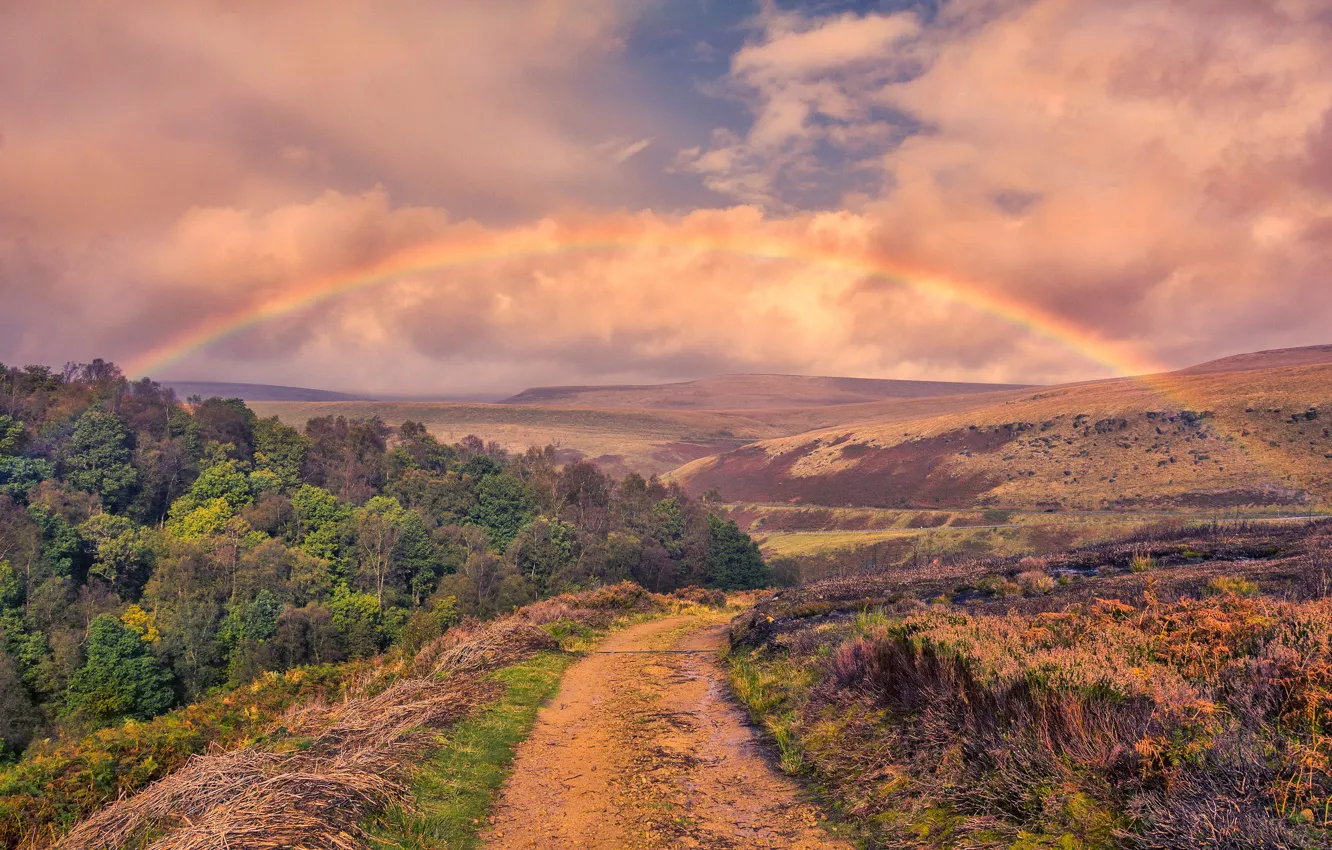 Photo wallpaper road, autumn, hills, England, rainbow