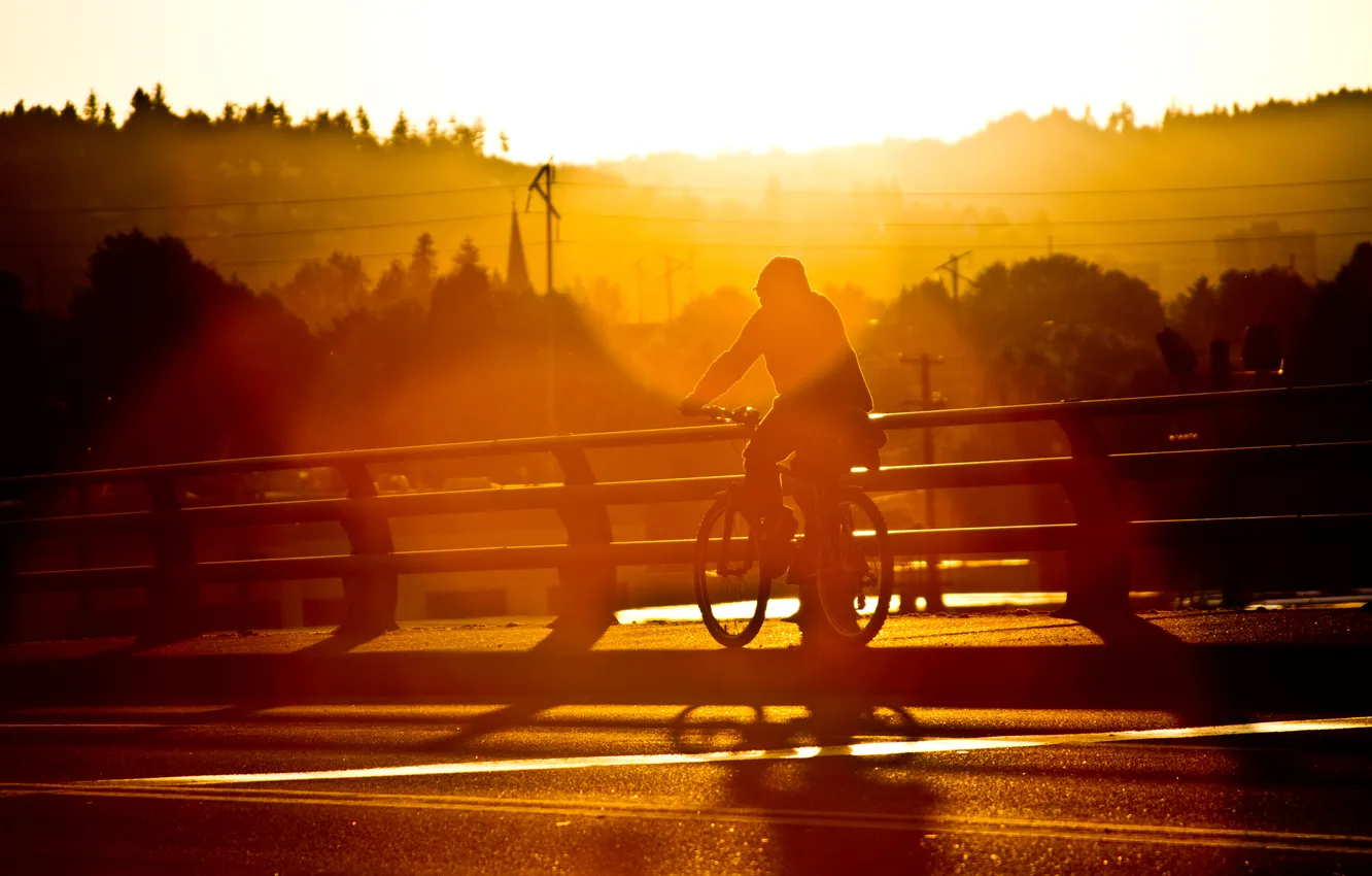 Photo wallpaper road, the evening, cyclist