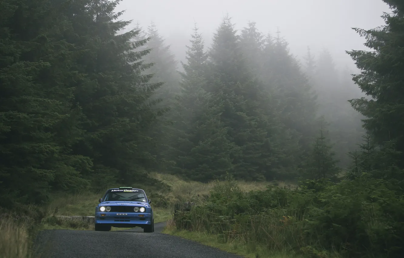 Photo wallpaper forest, bmw, BMW, e30