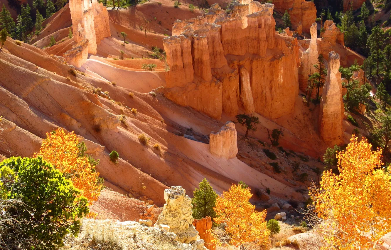Photo wallpaper autumn, Utah, USA, USA, Bryce Canyon, autumn, Utah, Bryce Canyon