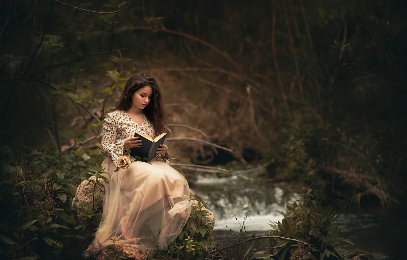 Photo wallpaper forest, girl, book, reading, Carmen Gabaldon