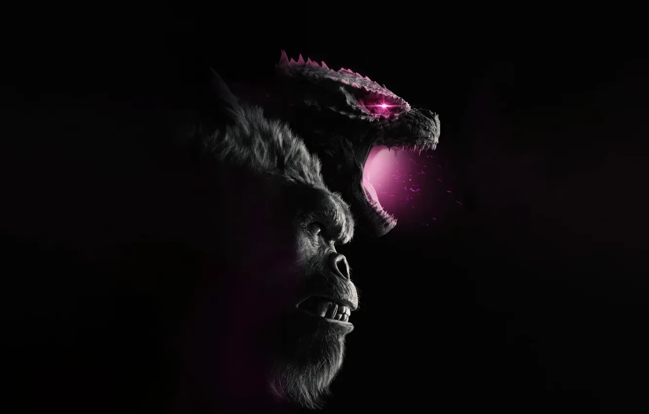Photo wallpaper Monkey, King Kong, Black background, USA, Two, Godzilla, Legendary Pictures, Fiction