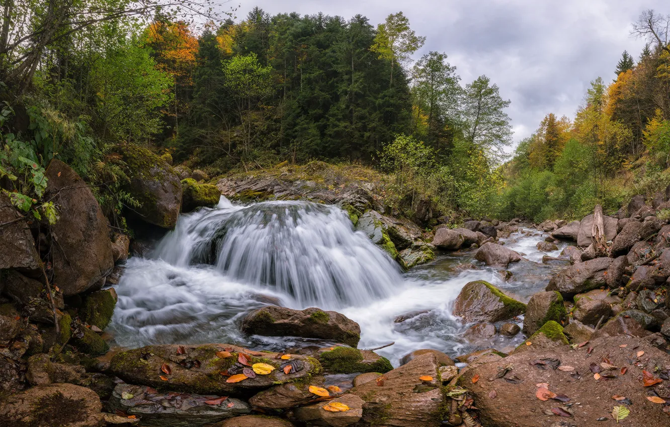 Photo wallpaper autumn, forest, trees, river, stones, waterfall, Russia, Karachay-Cherkessia