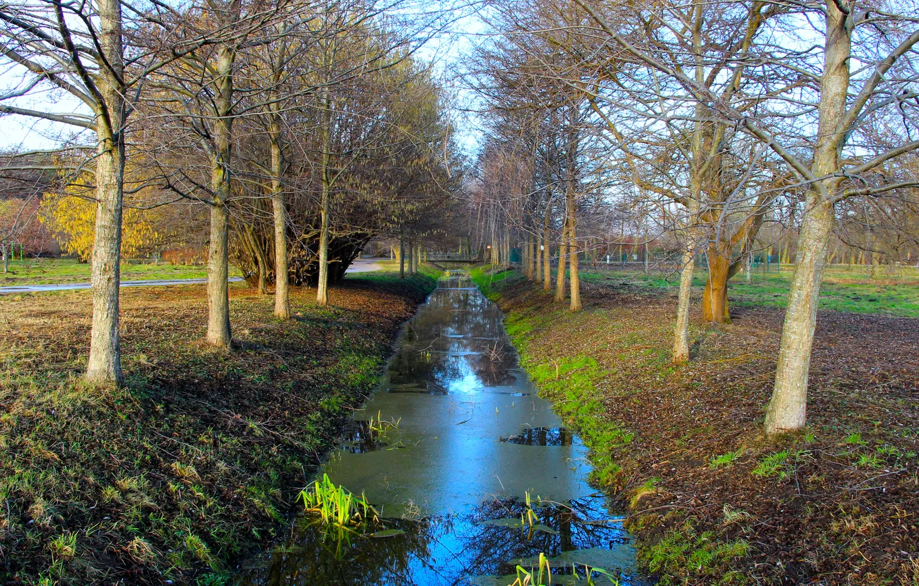 Photo wallpaper river, trees, water, park