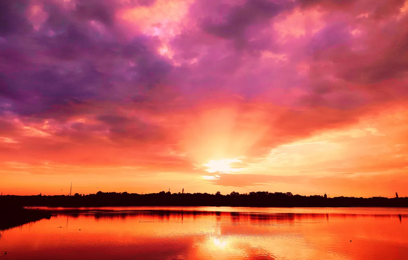 Photo wallpaper sky, trees, water, lake, morning, sun, sunrise, dawn