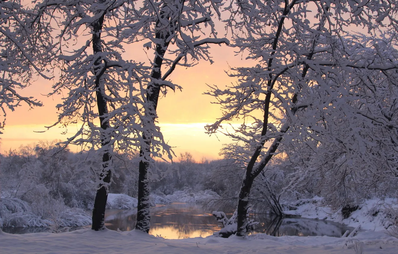 Photo wallpaper winter, snow, trees, sunset