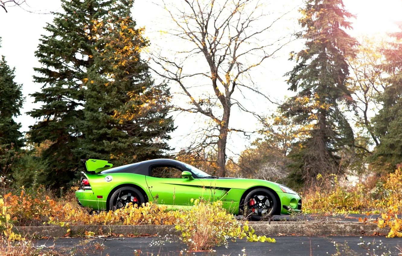 Photo wallpaper green, green, black, profile, Dodge, drives, black, Viper