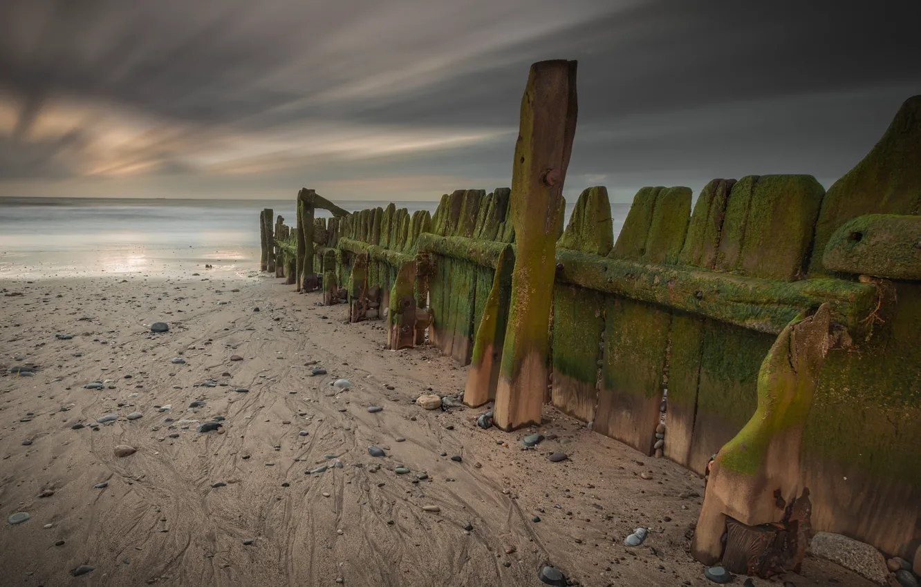Photo wallpaper sea, coast, the fence, England, moss, morning, England, East Yorkshire