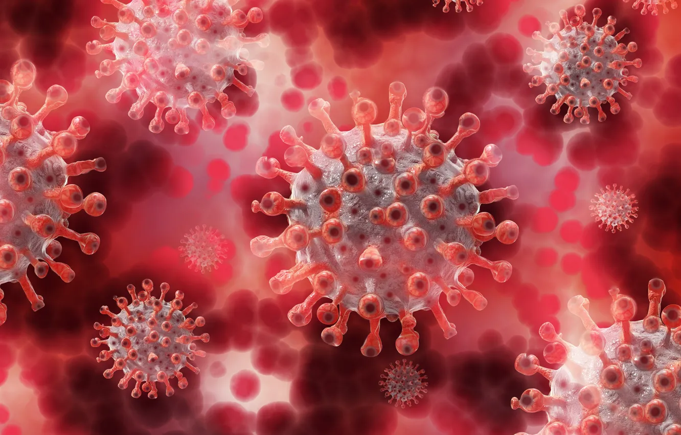 Photo wallpaper spiked, Covid-19, virus, flying, a lot, rendering, coronavirus, infection