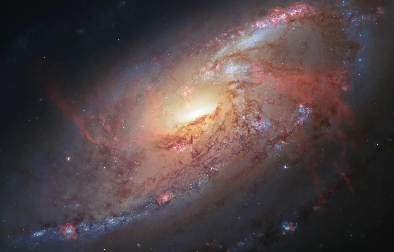 Photo wallpaper space, stars, M106, Hubble Space Telescope, NASA Goddard Space Flight Center, Spiral galaxy