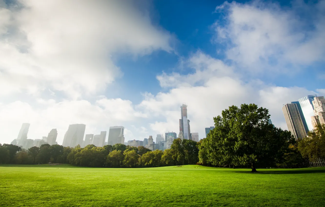 Photo wallpaper the sky, clouds, trees, New York, USA, lawn, Central Park