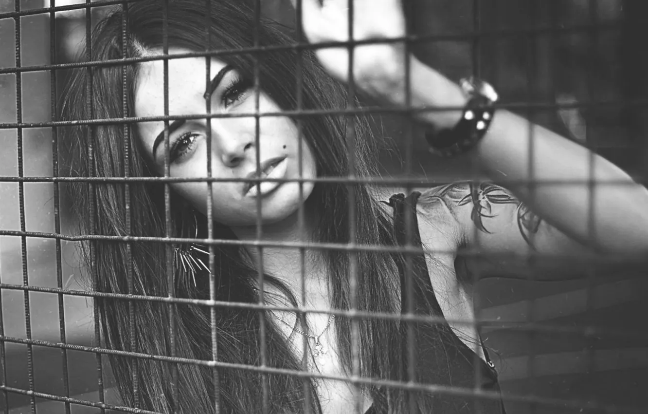 Photo wallpaper grille, black and white, Diane malison