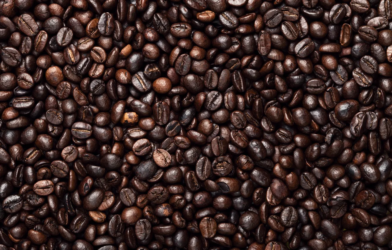 Photo wallpaper brown, background, view, beans, coffee, Top, aroma, beverage