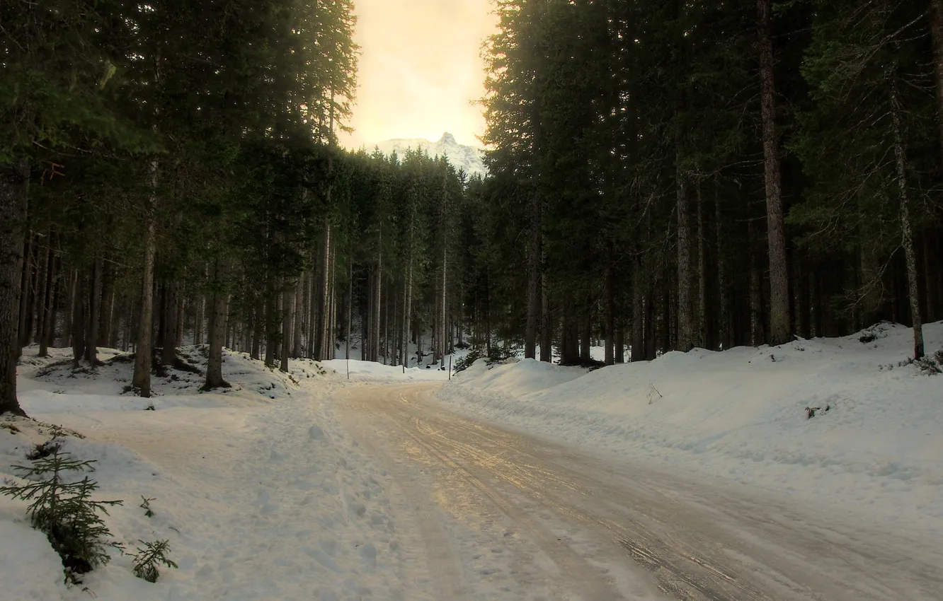 Photo wallpaper winter, road, forest, snow, trees, spruce, turn, coniferous