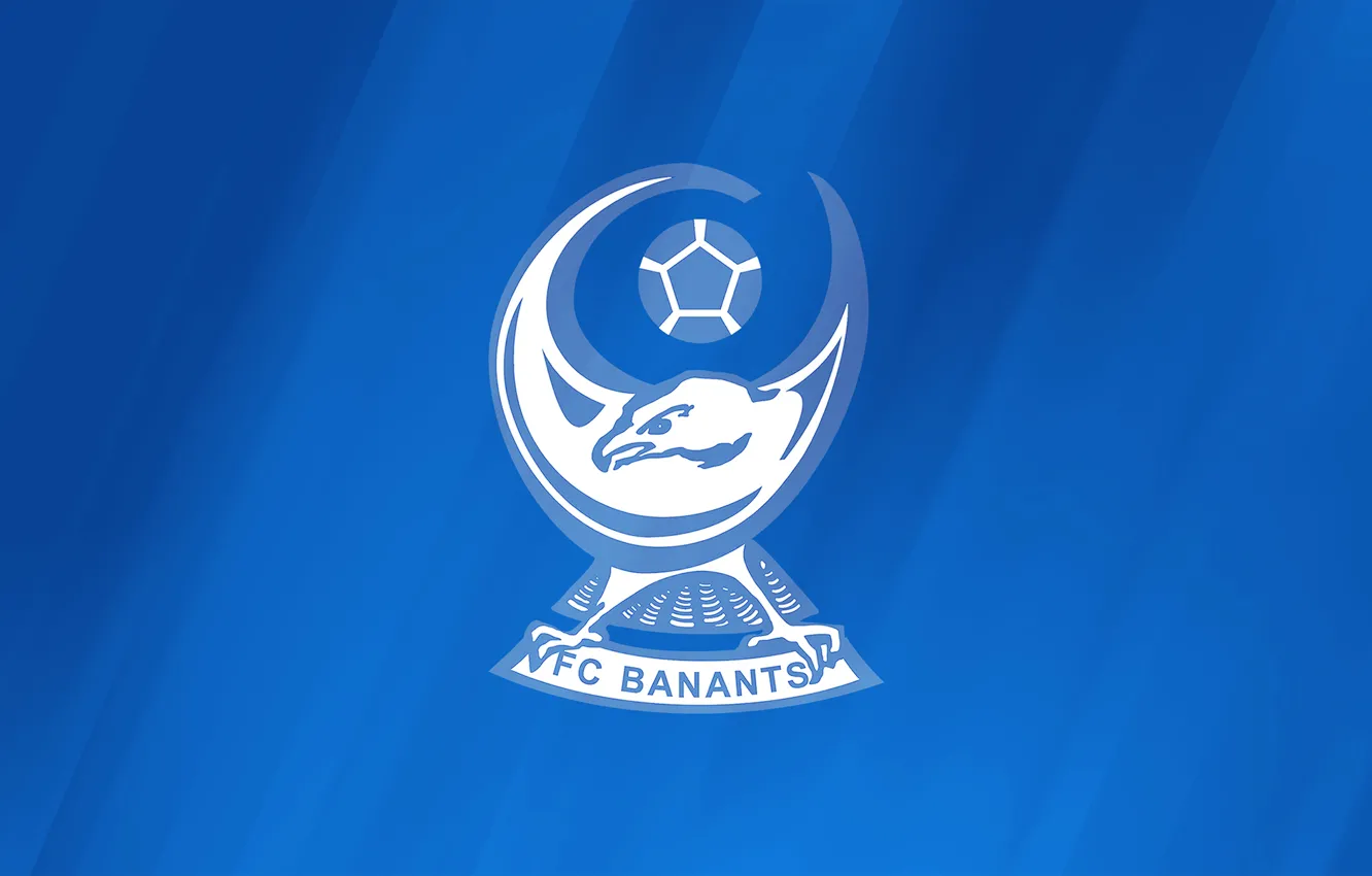 Photo wallpaper logo, emblem, Armenia, Armenia, Armenian Premier League, Armenian Premier League, Banants, FC Banants