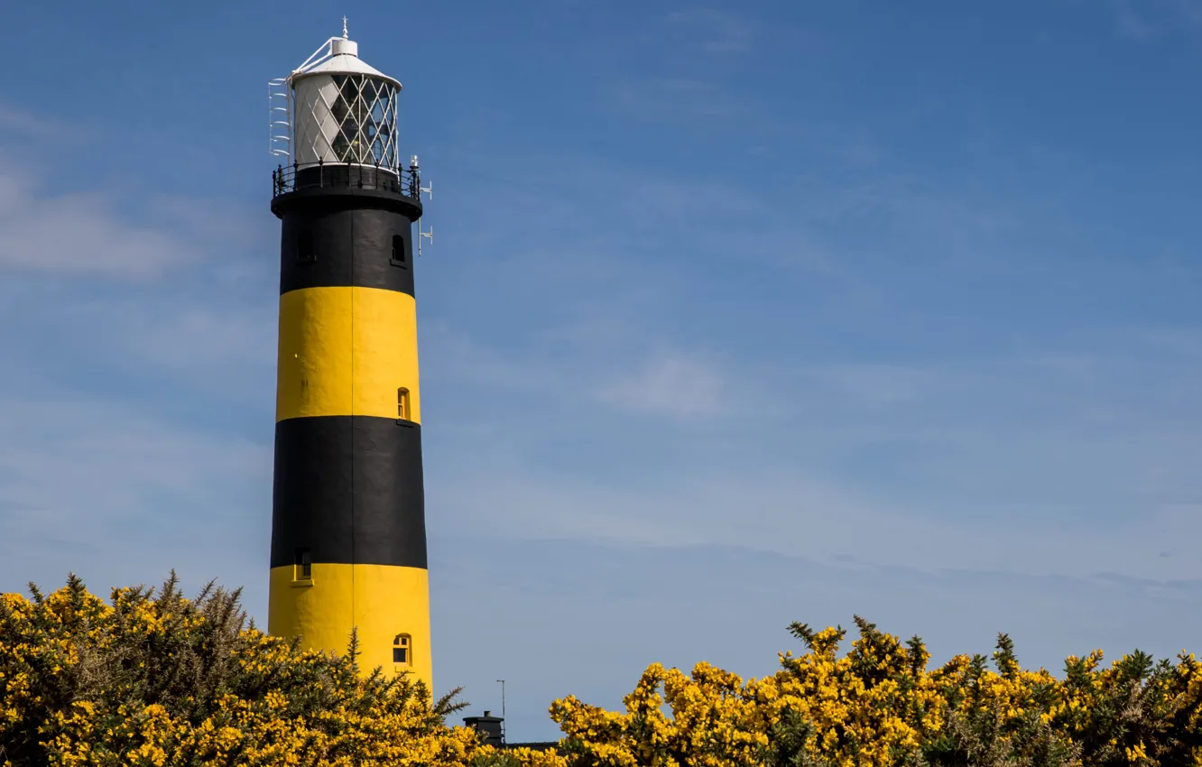 Photo wallpaper coast, lighthouse, Ireland, Bumble Bee Lighthouse
