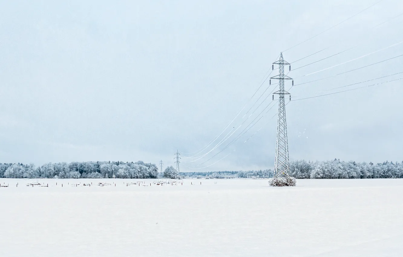 Photo wallpaper winter, snow, freeze, cloudy, frost, woodland, power line, snowing