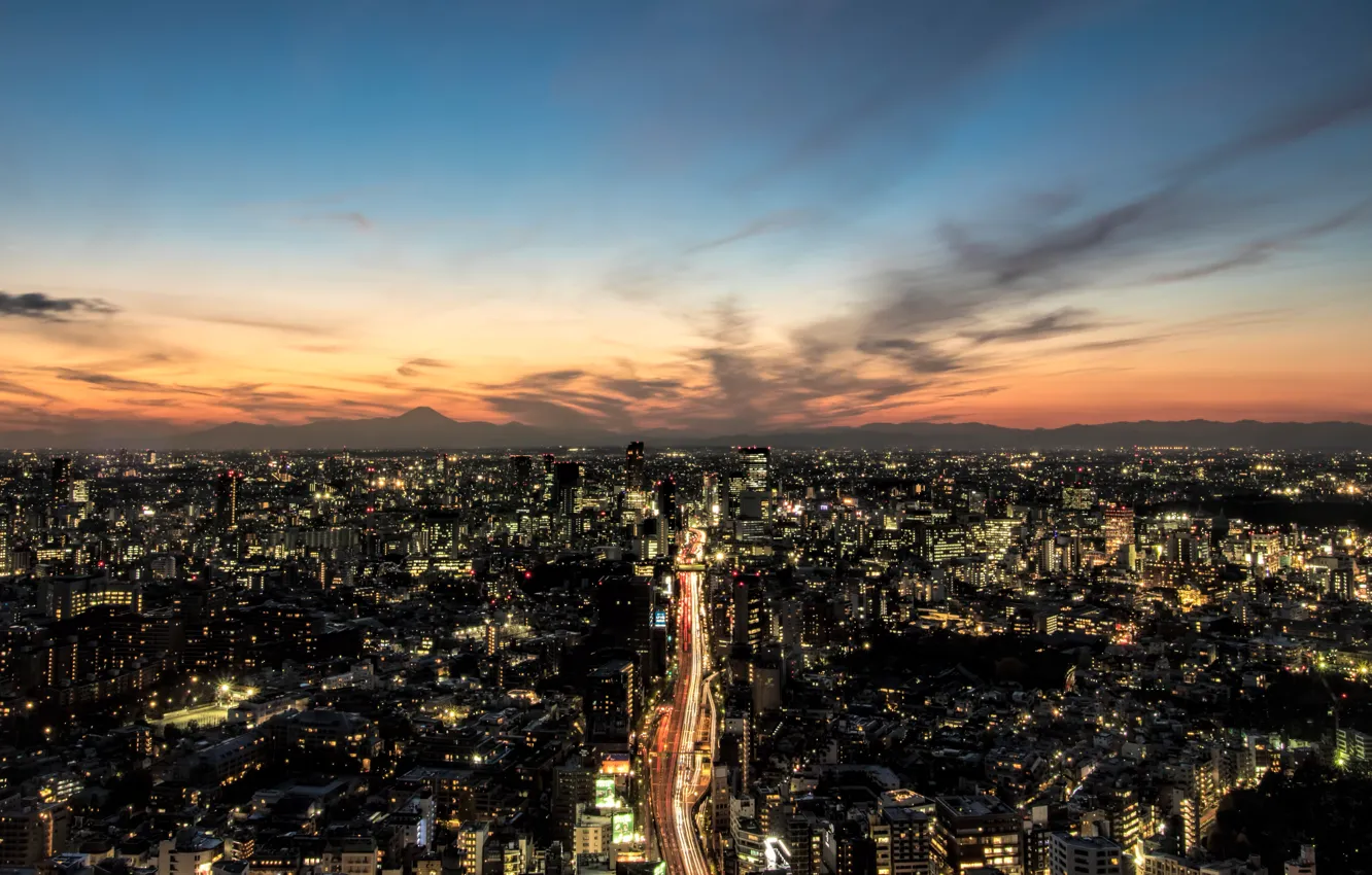 Photo wallpaper home, skyscrapers, panorama, Tokyo, megapolis