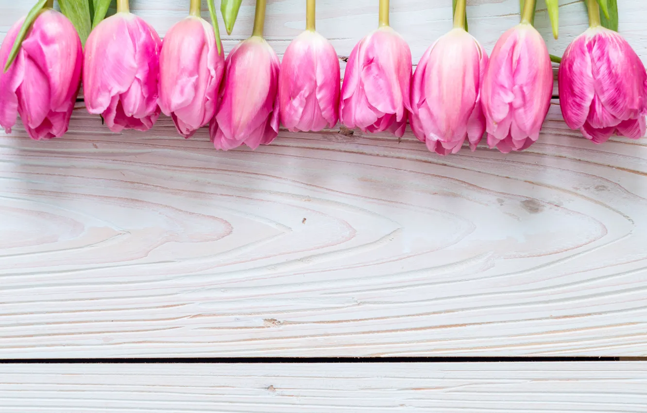 Photo wallpaper flowers, pink, bouquet, tulips