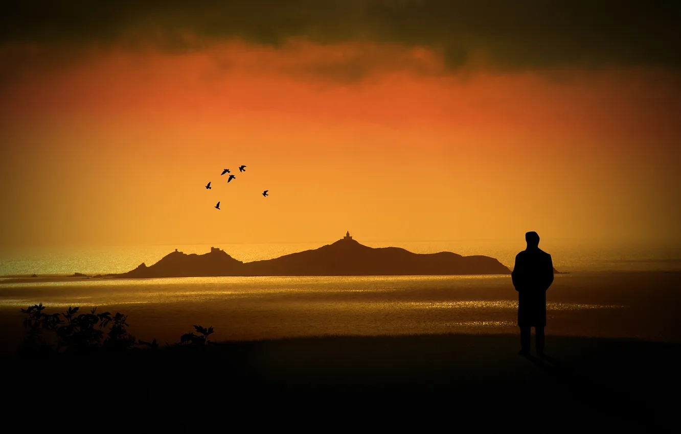 Photo wallpaper the sky, photo, creative, mood, different, the Wallpapers