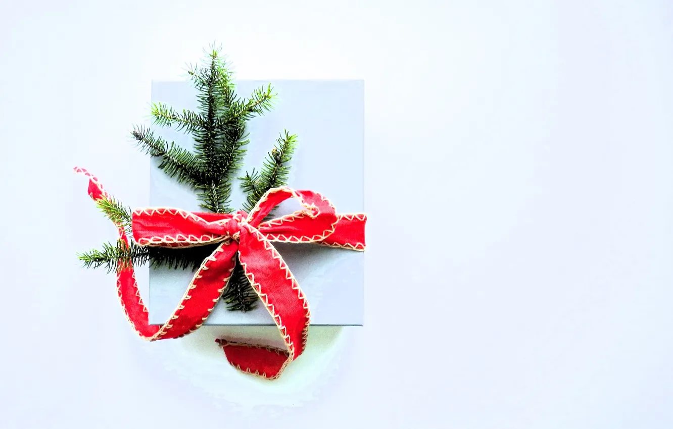 Photo wallpaper branches, box, gift, tree, tape, bow