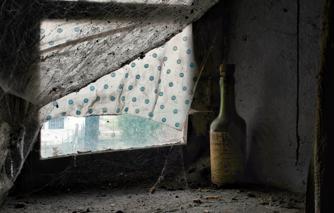 Photo wallpaper bottle, web, window, naturalism