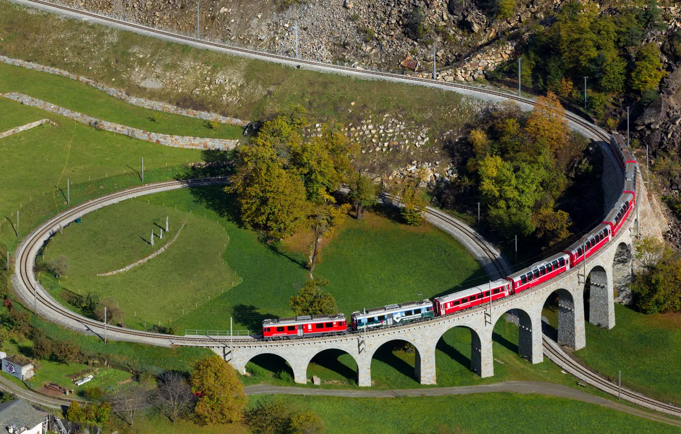 Photo wallpaper Tree, Switzerland, Train, Viaduct, The spiral viaduct, Brusio, Spiral viaduct in Brusio
