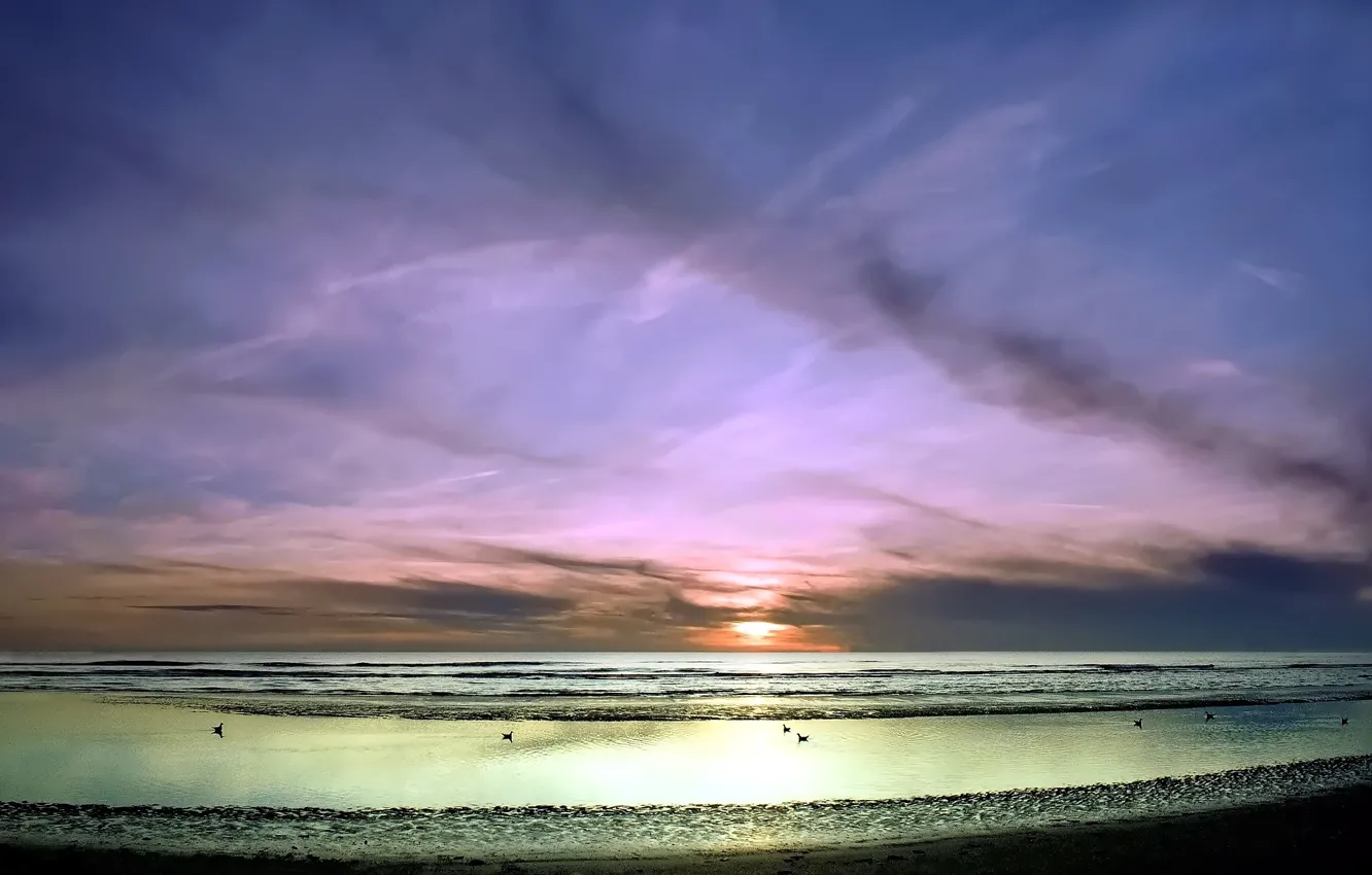 Photo wallpaper sea, wave, the sky, sunset, birds, shore