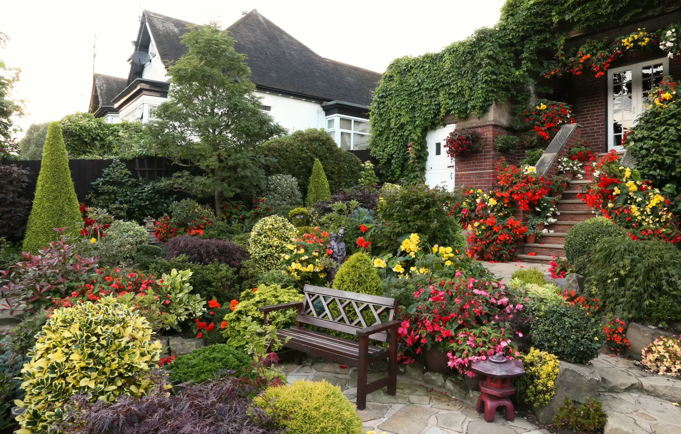 Photo wallpaper flowers, nature, England, home, garden, shop