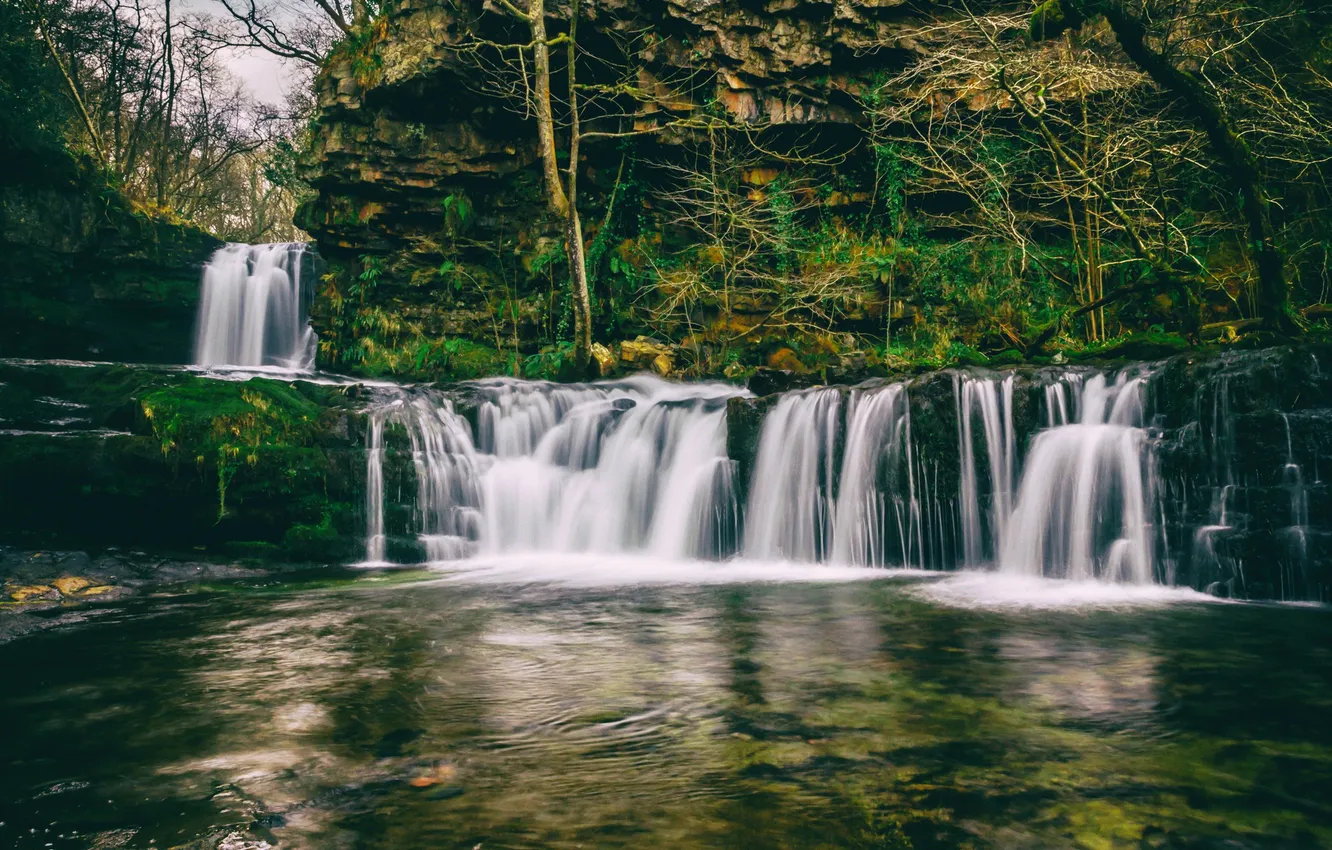 Photo wallpaper water, trees, rocks, cascade, mucus