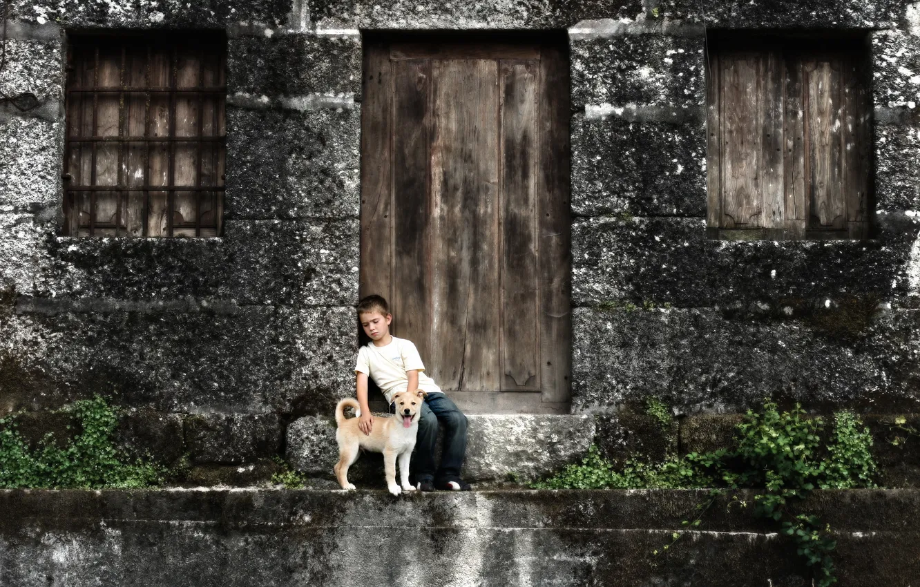 Photo wallpaper mood, home, dog, boy