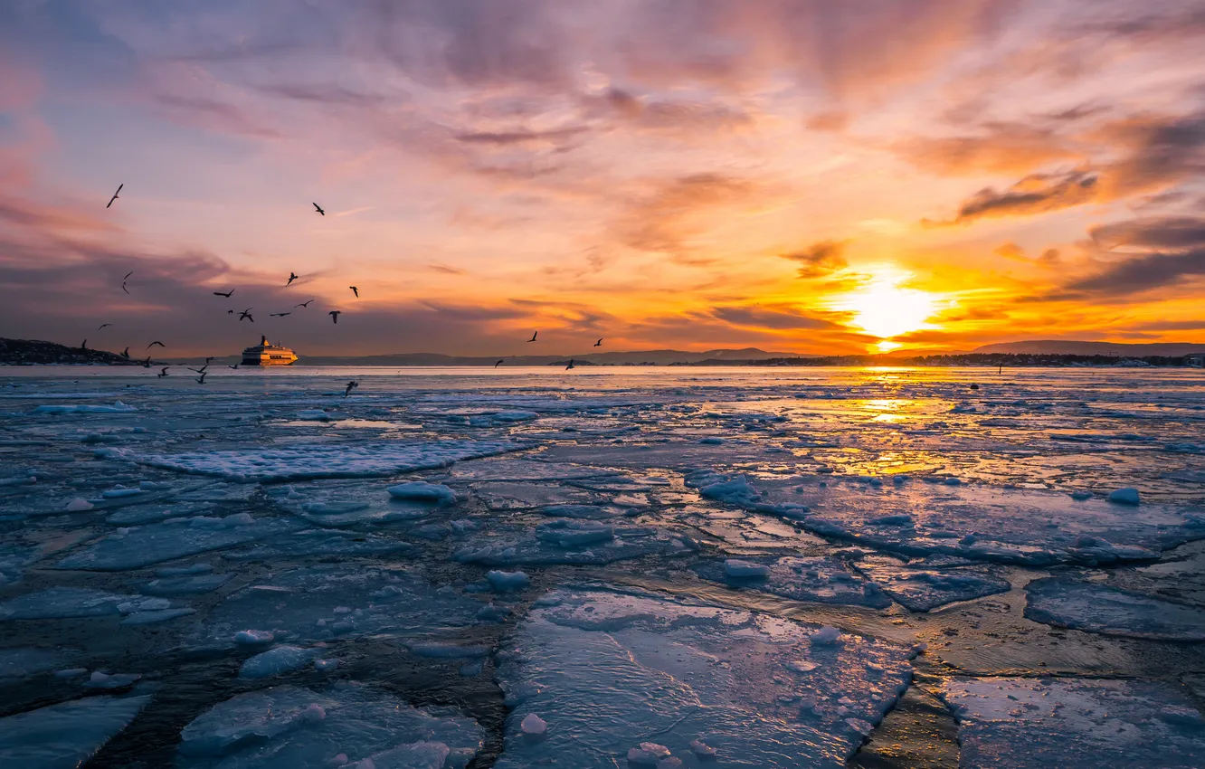 Photo wallpaper ice, winter, sunset, bird, ship, Bay