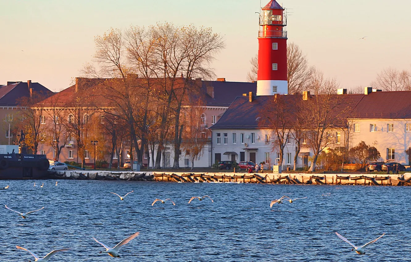 Photo wallpaper sea, people, lighthouse, swans, Baltiysk