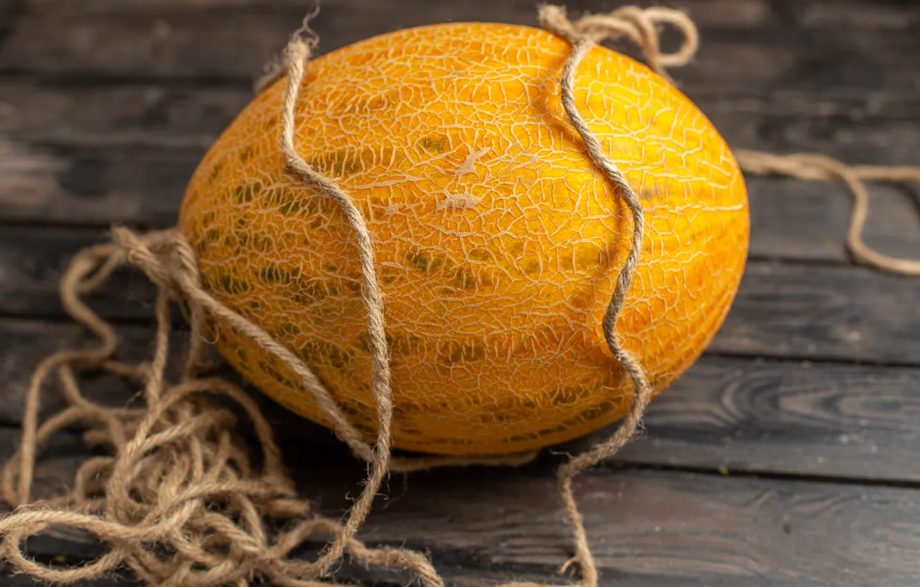Photo wallpaper close-up, Board, rope, melon