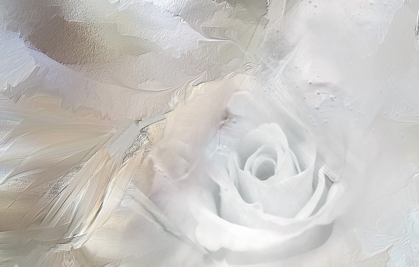Photo wallpaper abstraction, color, Ice Rose