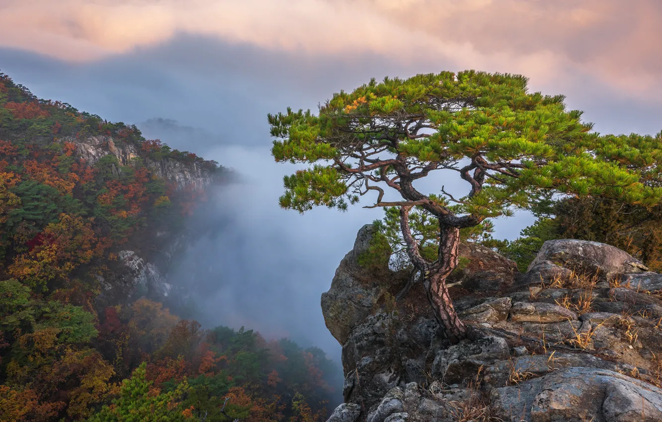 Photo wallpaper autumn, clouds, trees, landscape, mountains, nature, fog, rocks